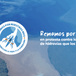Remamos por nuestros rios