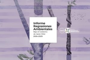 Las regresiones ambientales en Argentina 2025