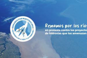 Remamos en defensa del Río Paraná
